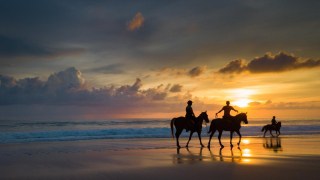 taniaaraujo dji 0389 mfrzd