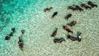 20190311 taniaaraujo dji 0239 v1 mfrzd 800k